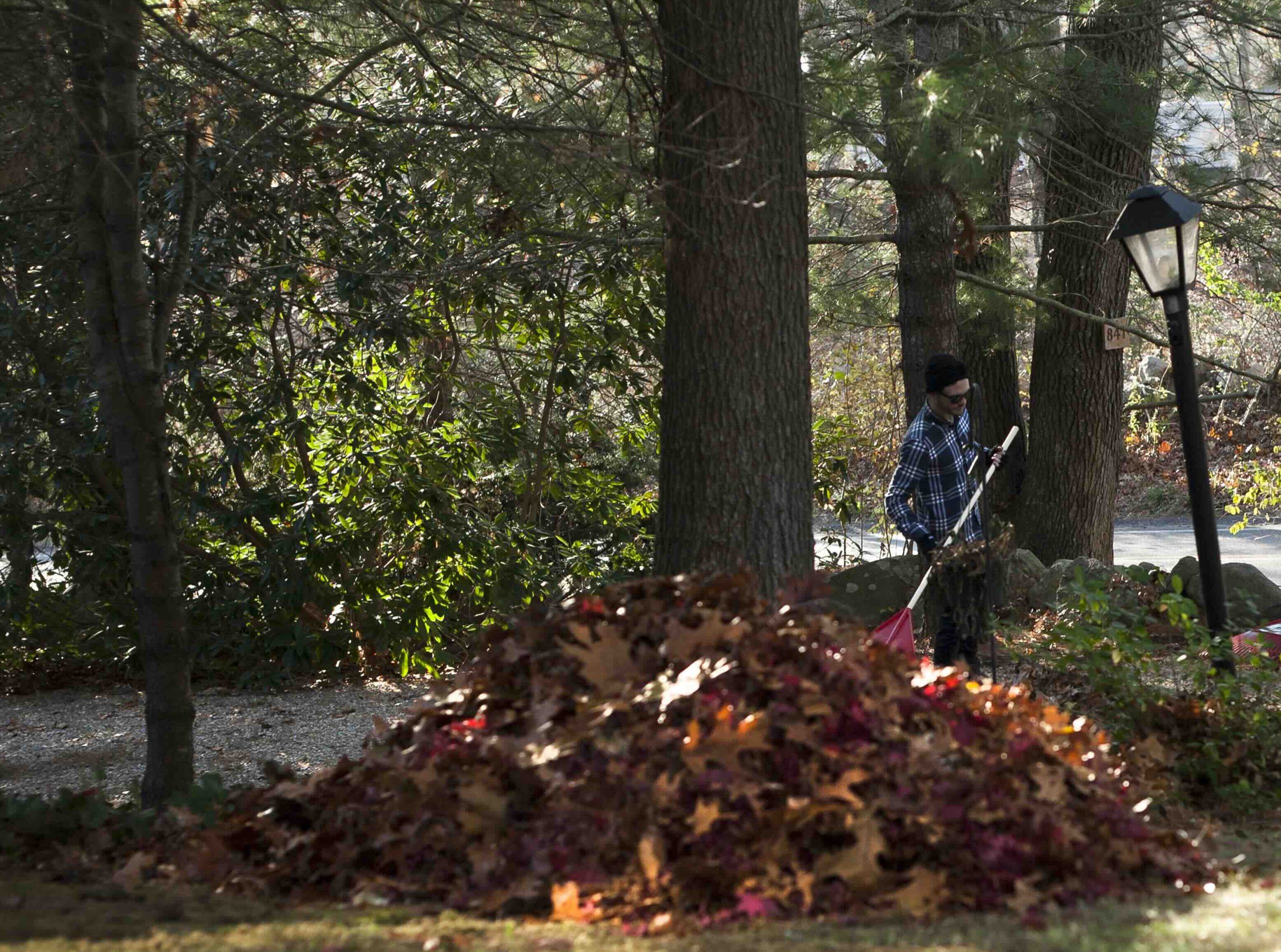 A photo of a man working on a leaf clean up project.